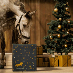 Horse Theme Advent Calendar with 24 Surprises | December Countdown Gift