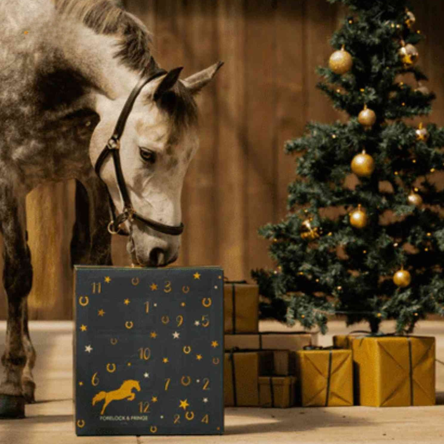 Horse Theme Advent Calendar with 24 Surprises | December Countdown Gift