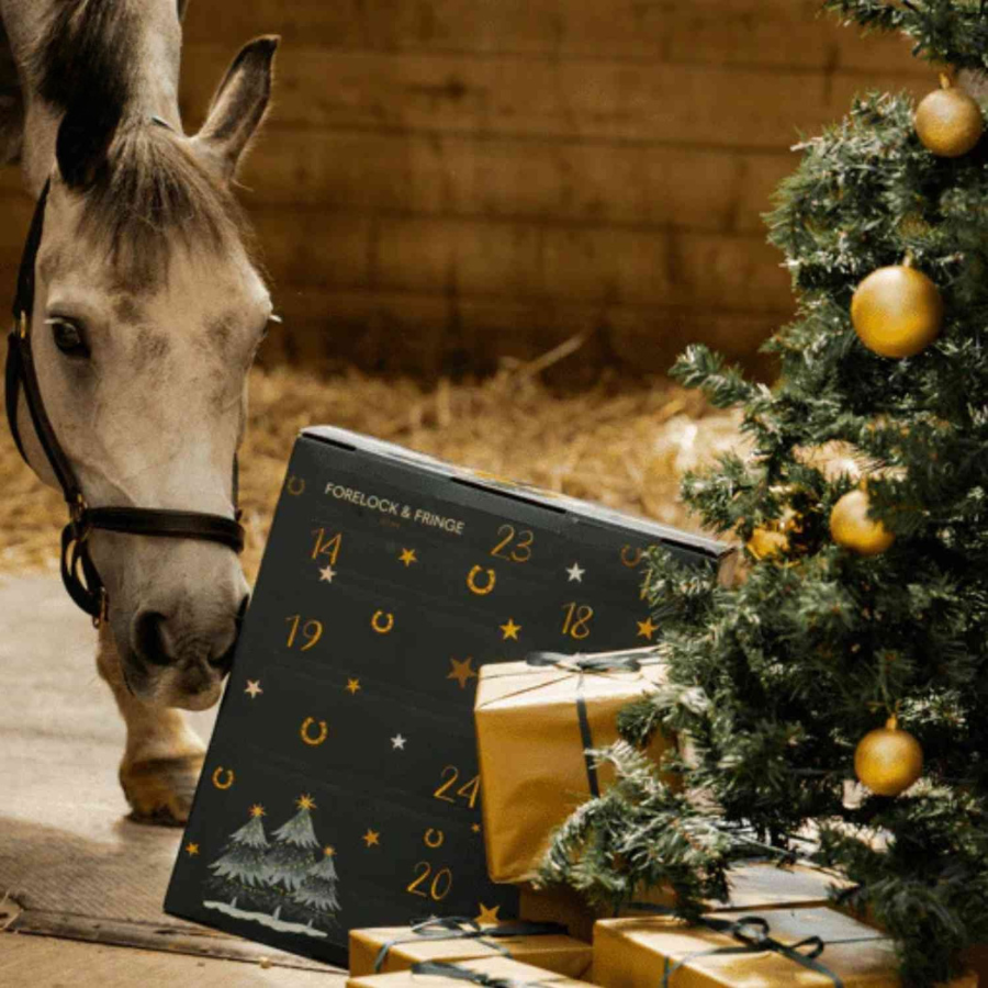 Horse Theme Advent Calendar with 24 Surprises | December Countdown Gift