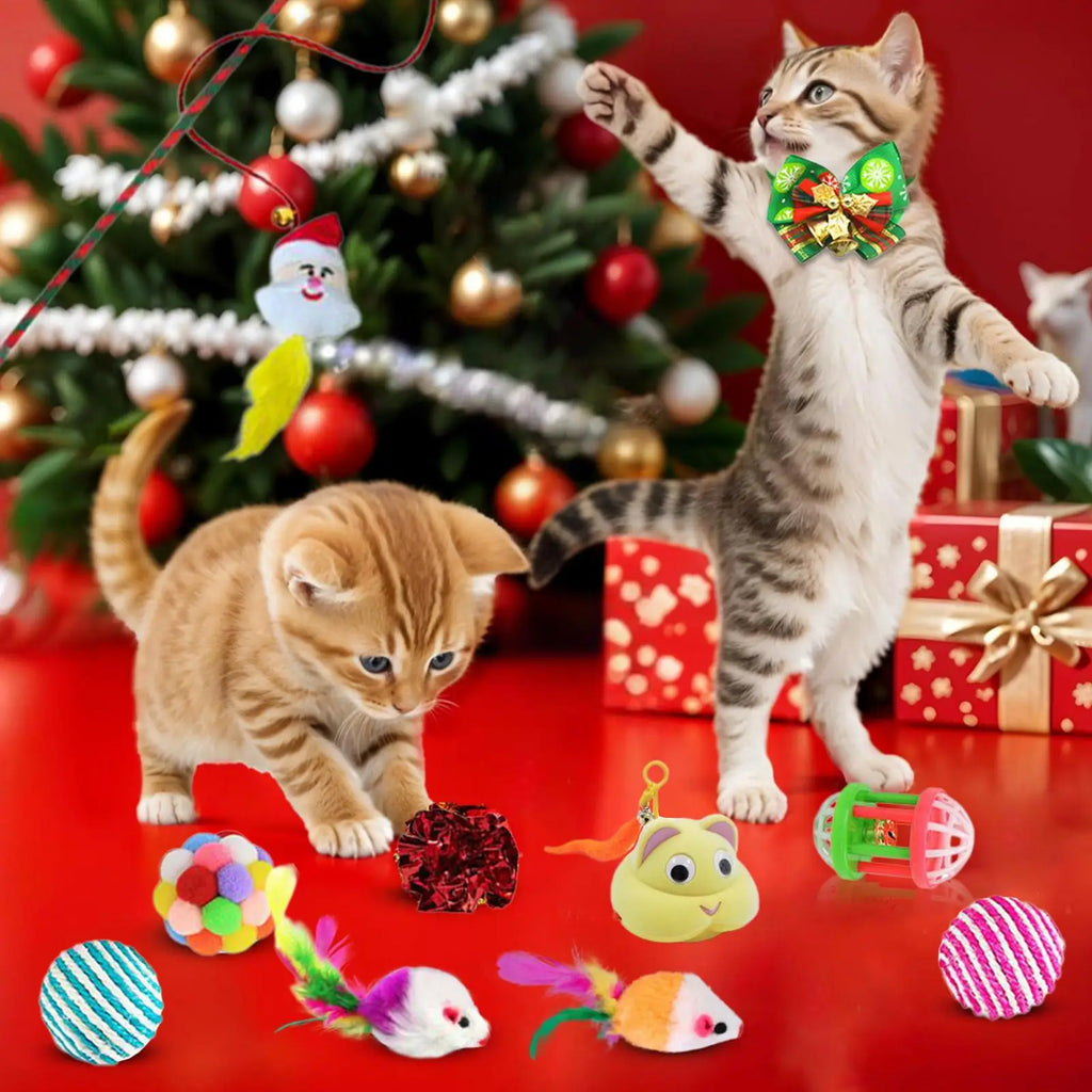 Interactive Cat Toys Advent Calendar | 24 Daily Surprises 2